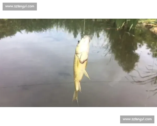 重庆巴南 6 岁萌娃力擒 6 斤大鲤鱼！小小身躯爆发惊人钓鱼天赋